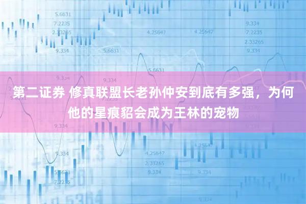 第二证券 修真联盟长老孙仲安到底有多强，为何他的星痕貂会成为王林的宠物