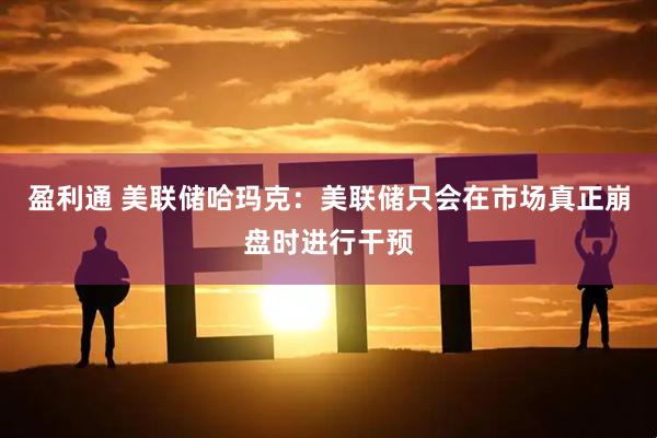 盈利通 美联储哈玛克：美联储只会在市场真正崩盘时进行干预