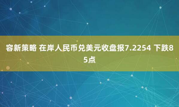 容新策略 在岸人民币兑美元收盘报7.2254 下跌85点