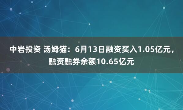 中岩投资 汤姆猫：6月13日融资买入1.05亿元，融资融券余额10.65亿元