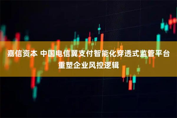 嘉信资本 中国电信翼支付智能化穿透式监管平台重塑企业风控逻辑