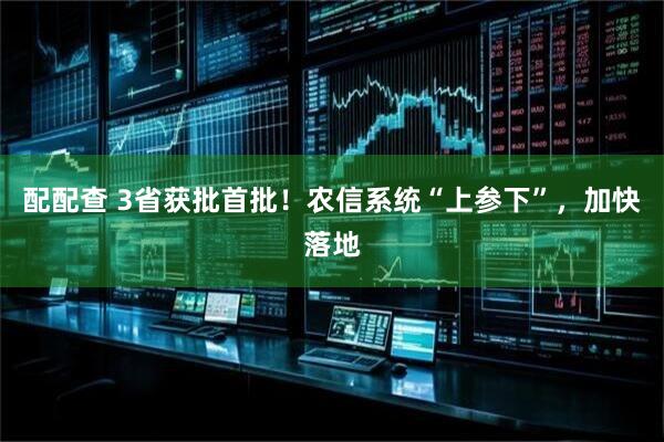 配配查 3省获批首批！农信系统“上参下”，加快落地