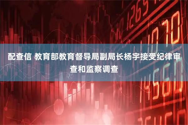 配查信 教育部教育督导局副局长杨宇接受纪律审查和监察调查