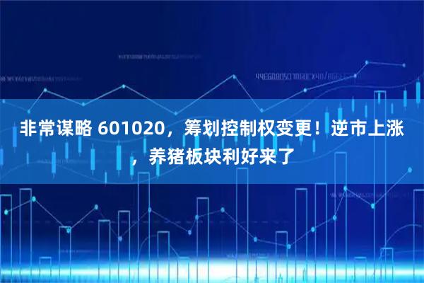 非常谋略 601020，筹划控制权变更！逆市上涨，养猪板块利好来了